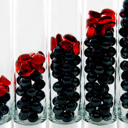 Painéis Fotográficos- Seixos vermelho e preto