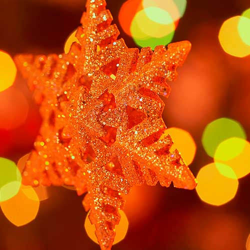 Painéis Fotográficos- Estrela natal